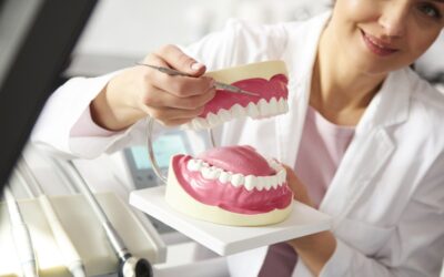 How Do I Navigate Dental Health in Different Life Stages